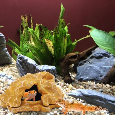 Terrarium Maison de Lézard Résine Roche Fausse Grotte Dragon Barbu Paysage Zone de Bain Décoration Aquarium Grottes de Cachette pour Reptiles