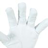 Titleist Professional Golf Glove TG73WT-24 WT White Left Hand 24cm