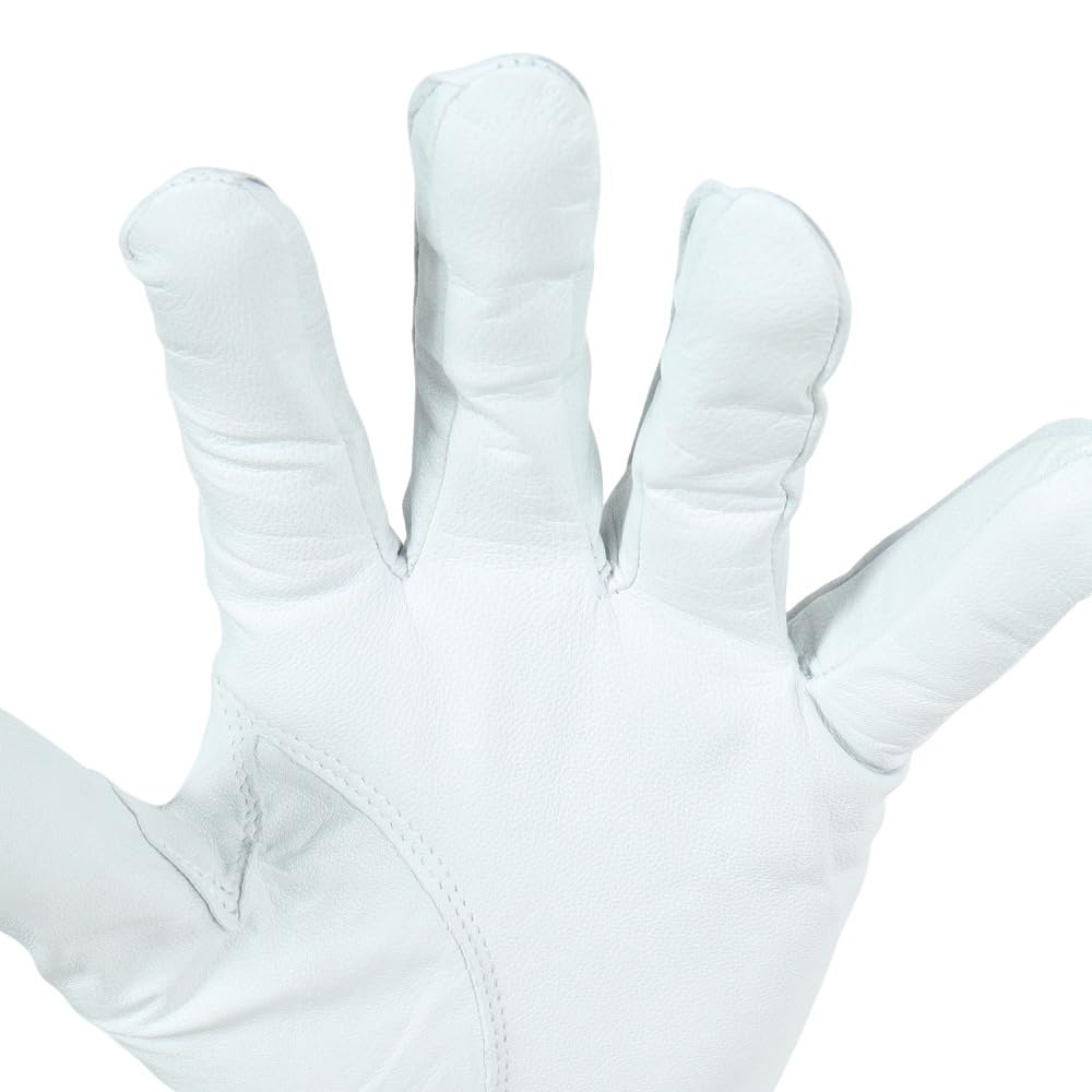 Titleist Professional Golf Glove TG73WT-24 WT White Left Hand 24cm