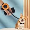 Retractable Pet Leash for Dog Cat with Anti-Slip Handle Extendable Nylon Leash for Small To Medium Pets