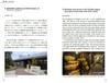 Japanese Wine WINES of JAPAN [Japanese-English Translation Bilingual Edition] (A Comprehensive Guide To Wines and Wineries of Japan)