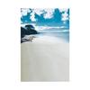 Sommer Meeresstrand Fotografie Hintergrund Tropischer Ozean Palme Sand Malerischer Hintergrund für Fotostudio Porträt Videoaufnahme Party Dekoration Requisiten