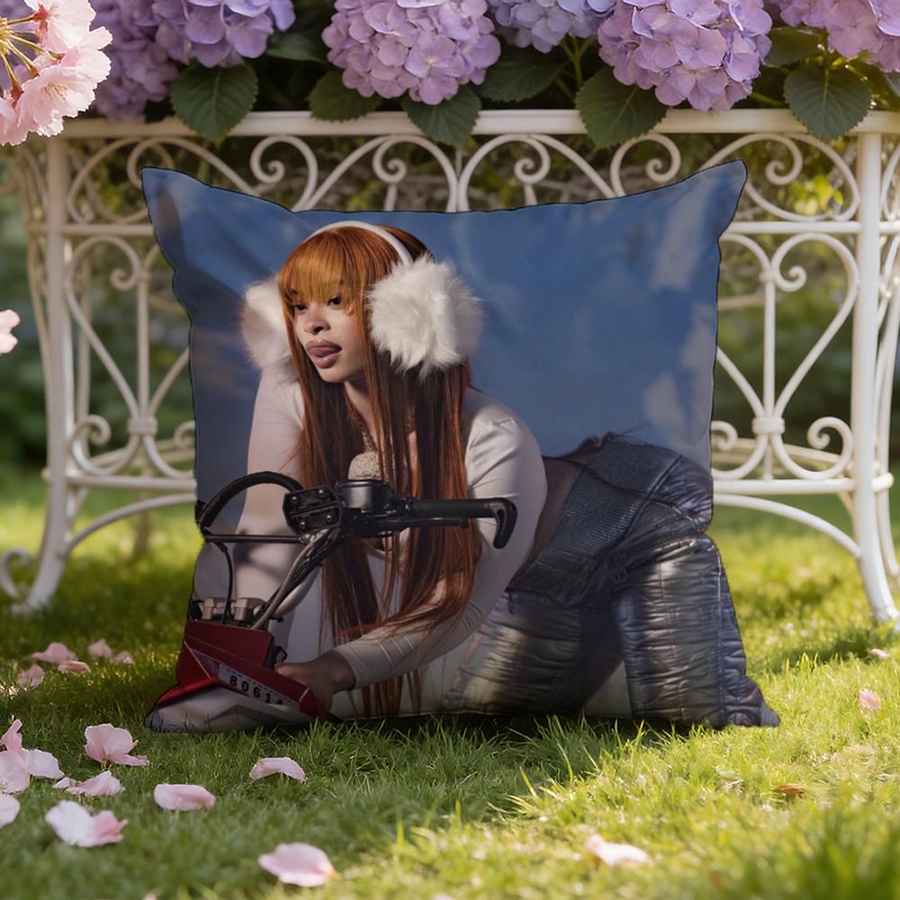 I-Ice Spice Y2K Cushion Cover Home & Car Dual-Scene Pillow Cover: Reversible For Premium Comfort