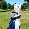 Plush Tiger Golf Club Head Covers Cute Animal Headcover for Golf Clubs 1/3/5 Driver Protect Golf Clubs From Scratches