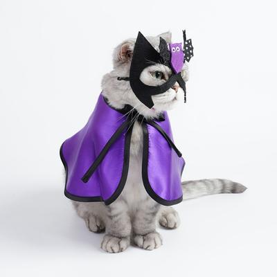 Katzen – Kleidung für Katzen