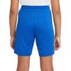 Nike Dri-Fit Park 3 Comfortable Fashion Simple Versatile Solid Color Shorts Kids Shorts Blue BV6865-463