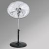 Grupo FM 756101535 150 W Pedestal Fan