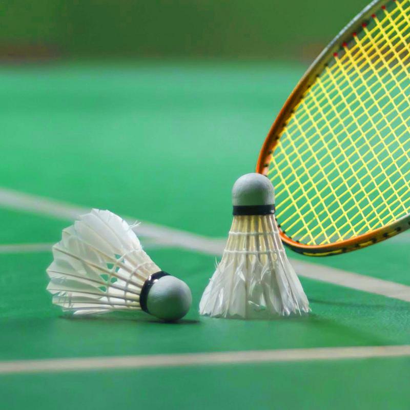 Badminton Ball High Speed Professional Feather Shuttlecock For Indoor Professional High Stability White Shuttle For Beach Racket