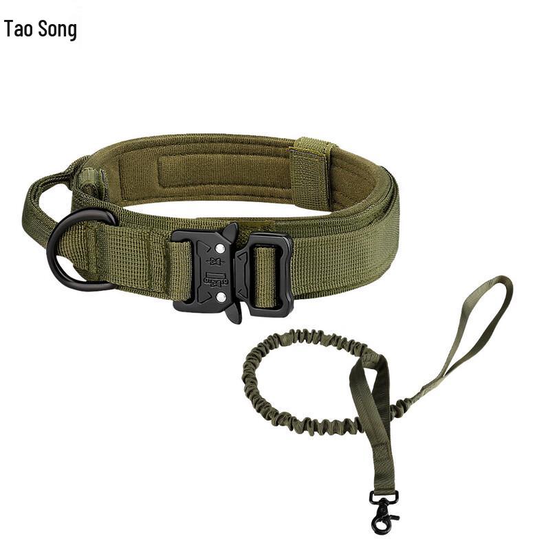 

Outdoor Training Dog Collar & Leash Set