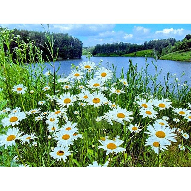 Flower Diamond Painting Accessories 5D DIY Diamond Mosaic Embroidery Cross Stitch Full Round Square Rhinestone Home Decoration