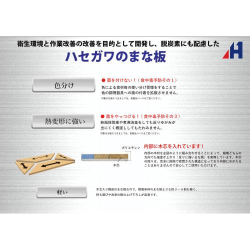 Hasegawa Polyethylene Lightweight Green 700 x 350mm SD25-7035 G