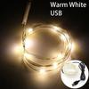 Premium 5/10m Usb Led Copper Wire Fairy Light Strip Lamp For Timeless Home Decor