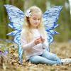 Fairy Wings for Adults And Girls Butterfly Fairy Costume Set