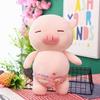 New Panties Pig Plush Toy Hooligan Pig Doll Throw Pillow Swimming Trunks Beach Pig Doll Soft Rag Doll