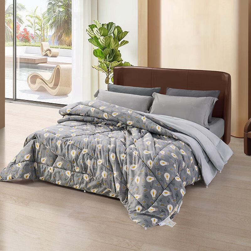 

Mercury Home Textiles Negative Ion Soybean Antibacterial 2-in-1 Quilt