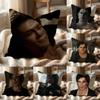 Damon Salvatore Kissenbezug Mehrzweck-Kissenbezug für Zuhause & Auto - Wendbar, Weich & Langlebig für den täglichen Gebrauch