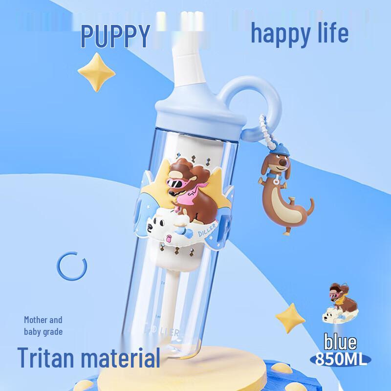 Dilebell 304 Stainless Steel Insulated Water Bottle