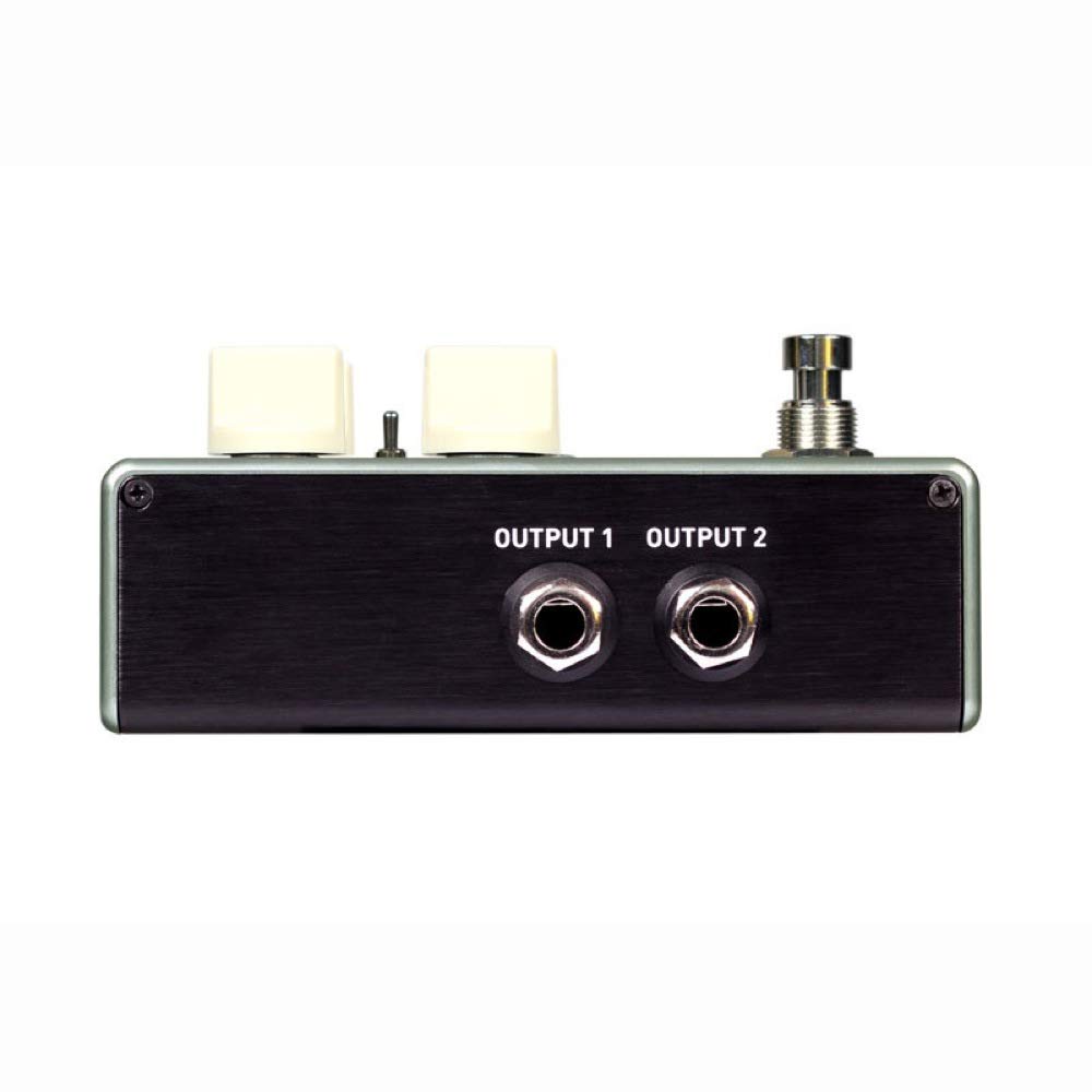 Source Audio SA247 True Spring Reverb Compact Effects Pedal (Reverb)