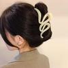 Encounter Maillard Frosted Large Claw Clip: Luxury Shark Hair Accessory for Women 2024