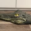 Alligator Head Decoy Pond Float Garden Floating Ornament, UV Protected Exterior to the
