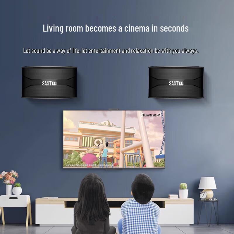 SAST Professional KTV & Conference Passive Speakers