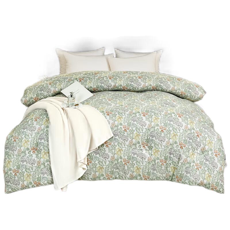 

PAUI DAVID All-Season Fiber Quilt