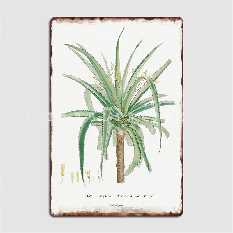 

Aloe Purpurea Illustration Poster Metal Plaque Poster Designing Cinema Kitchen Pub Garage Tin Sign Poster 20x30cm