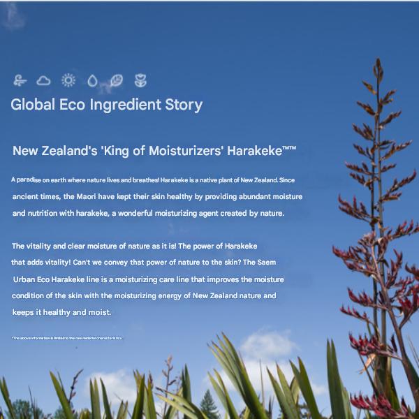 The Saem Urban Eco Harakeke Cream 50ml (3 Options)