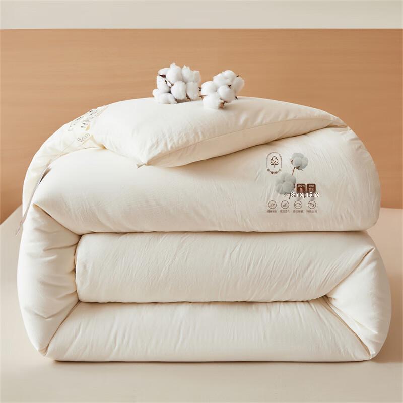 Muji All-Season Polyester Fiber Duvet Insert