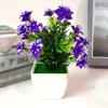Allergy Mini Simulation Blossom Bonsai Artificial Plant for Home Office