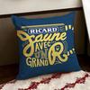 RRicards DDrink Cushion Cover Reversible Soft Durable Pillow Cover Home  Car MultiScene Use for Daily Comfort