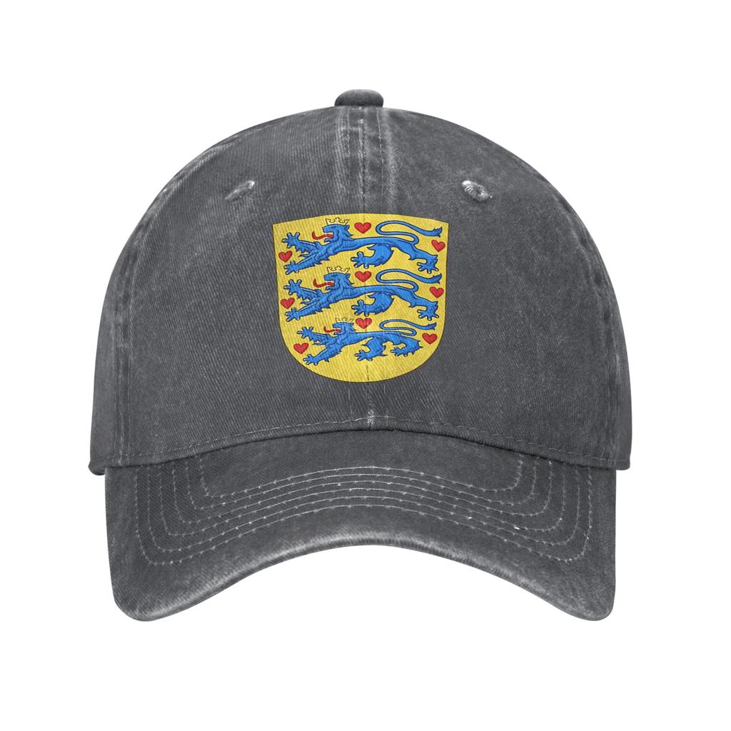 Denmark Coat of Arms Casual Baseball Cap  Kpop Rock Trucker Hat Spring Sun-Proof Unisex-Teens Y2k Cute Baseball Caps