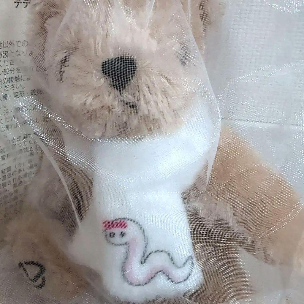 [USED] Lexus Original Teddy Bear Original Charm Zodiac Snake