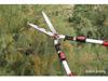 German Garden Pruning Shears - Ideal for Fruit Trees, Flowers, Hedges, and Branches