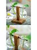 Minimalist Glass Vase with Wooden Stand for Pothos Plants – Hydroponic Desktop Ornament