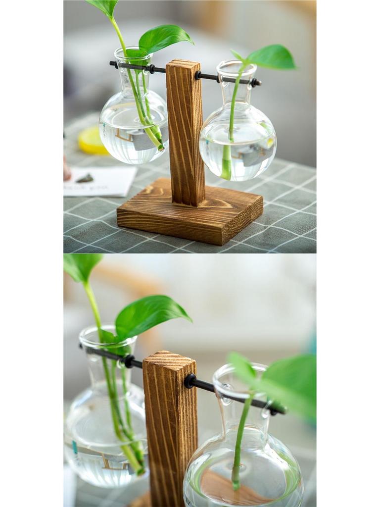 Minimalist Glass Vase with Wooden Stand for Pothos Plants – Hydroponic Desktop Ornament