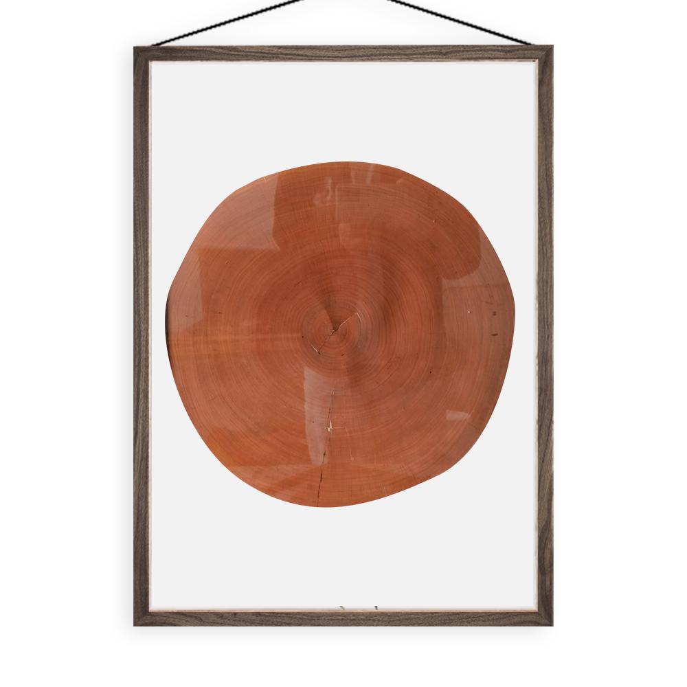 Den dekorativa målningen med årsringar, upphängd i det nordiska vardagsrummet, är en naturlig och konstnärlig gåva gjord av valnötsträ