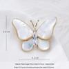 seashell butterfly 097