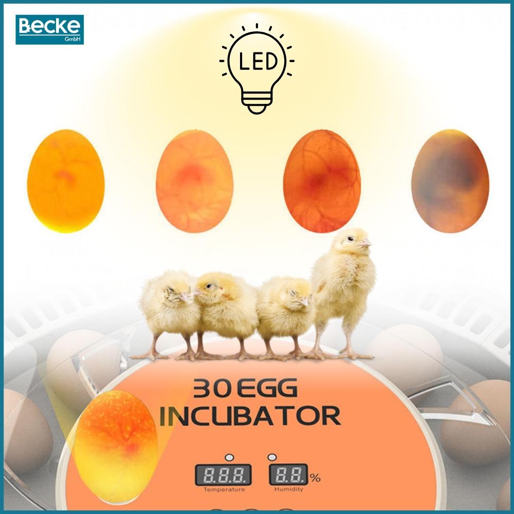 Incubator, poultry hatchery, hatcher, egg turner, egg turner, 30 eggs