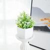 Vibrant Artificial Potted Flowers 6 Piece Set of Faux Plants for Whimsical For Home Decor and Charming Centerpieces