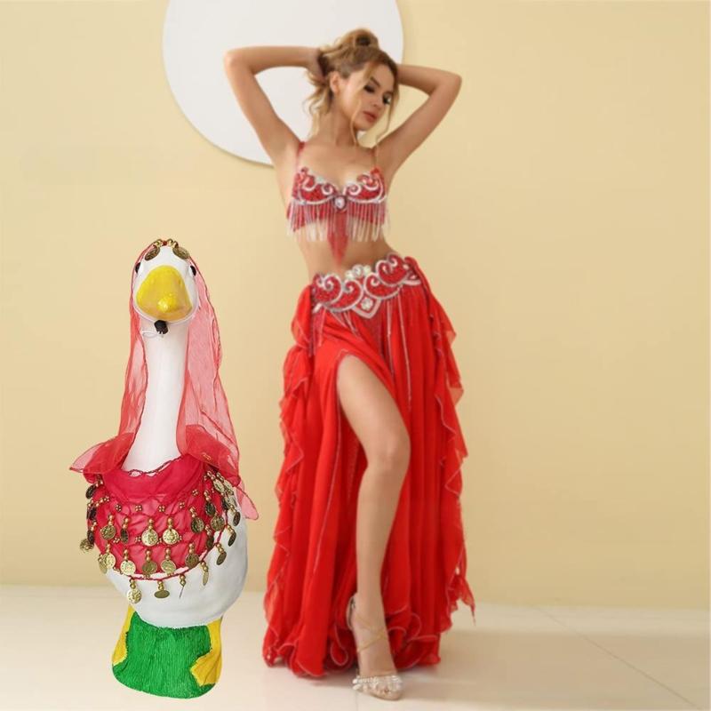 Belly Dance Outfit Set Belly Dance Hip Scarf,Coins Head Scarf Gypsy Costume Accessories for Womens Belly Dance Costume