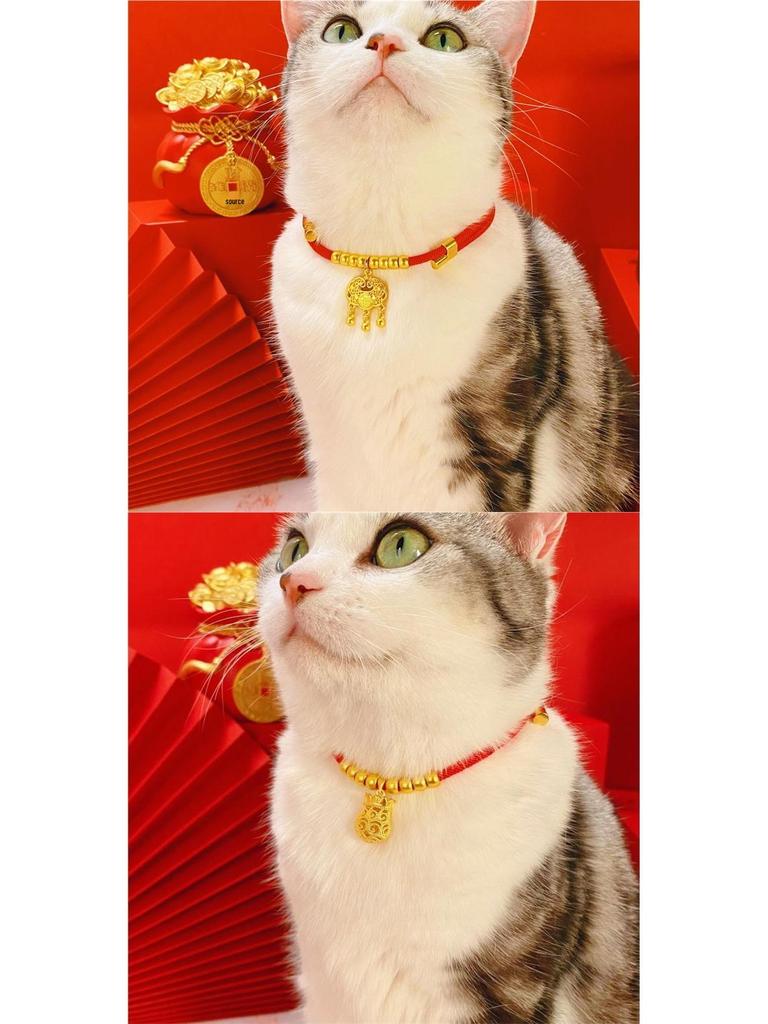 Gold Cat & Dog Collar with Ruyi Lock and Necklace Ornament - Adjustable Neck Warmer