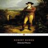 Selected Poems by Robert Burns Paperback Book 9780140423822