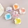 6pcs/set Ladies Gradient Color Flower Shark Clip Spring/Summer New Thick Hair Thin Hair Use Holiday Gifts for Leisure