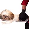 Grooming Glove - SSStancy - 1 Pc - Soft and Effective - Silicone Rubber - For Dog