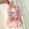 Pet clothes cat dog Maltese Pomeranian small dog princess style skirt cute puppet
