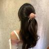 Netting and Crystal Fringe, Rose Flower Side Hairpin, Soft and Fairy-like Style, Women's Hair Accessories, Claw Clip, Hairpin