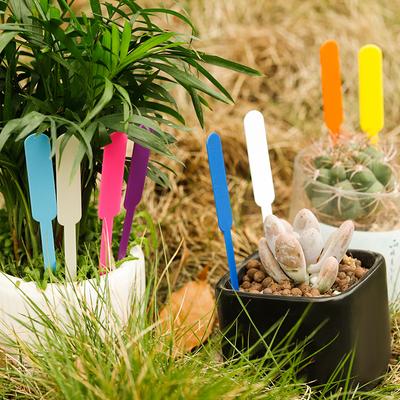 Thickened Pp Gardening Label, Waterproof And Sunscreen Stick Type, Flower Pot Succulent Special Flower Label