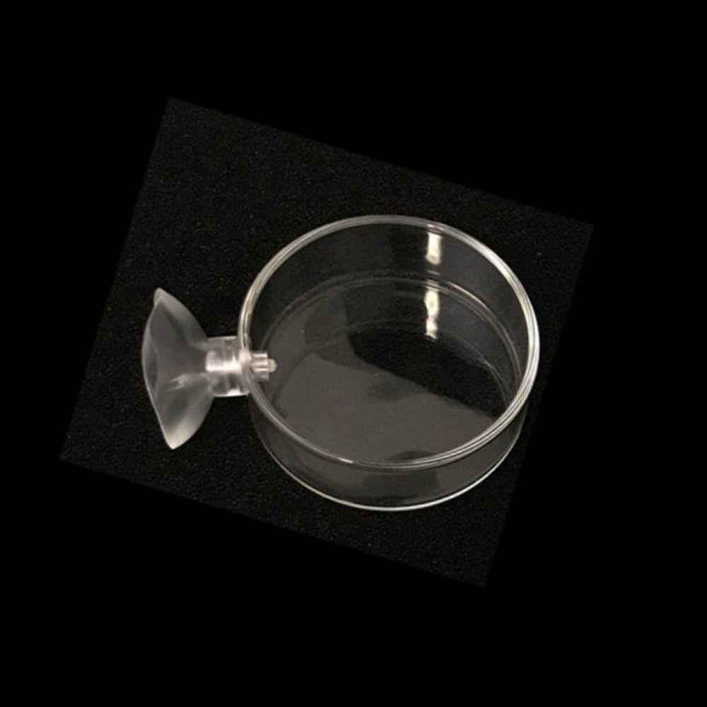 Durable for Fish Tank Acrylic Fish Feeding Bowl Fish Feeding Dish Shrimp Feeder Shrimp Food Box
