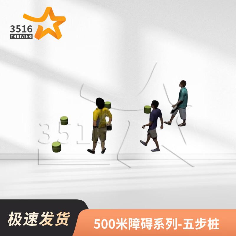 500M Alpine Obstacle Course Training Equipment